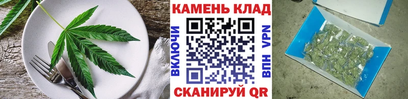 дарнет шоп  Кохма  mega вход  Еда ТГК марихуана 
