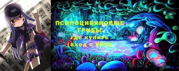 круглые Абаза