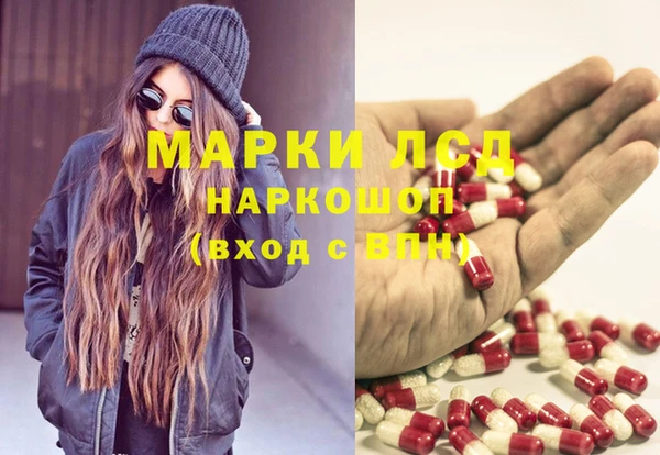 прущие грибы Корсаков
