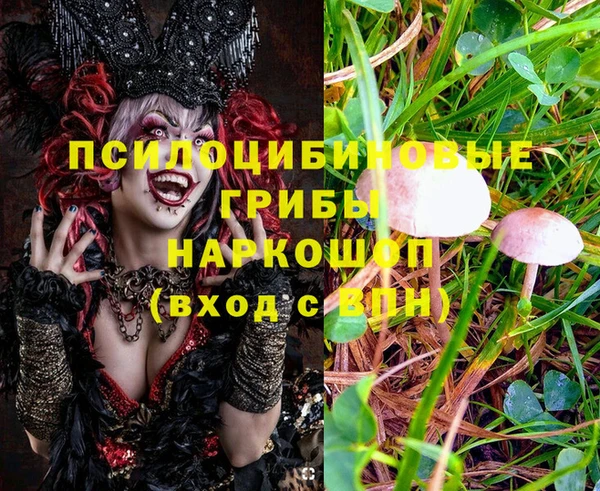 круглые Абаза
