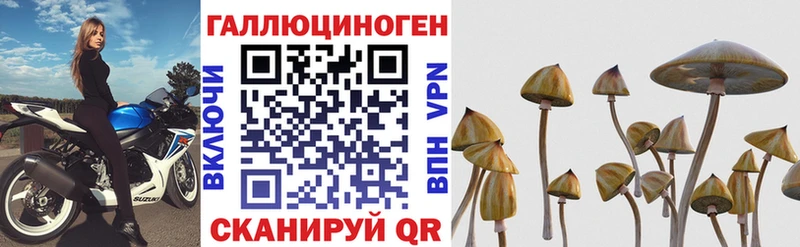 Галлюциногенные грибы мицелий как найти закладки Кохма